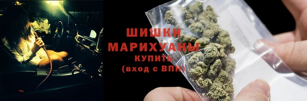 PSILOCYBIN Богданович